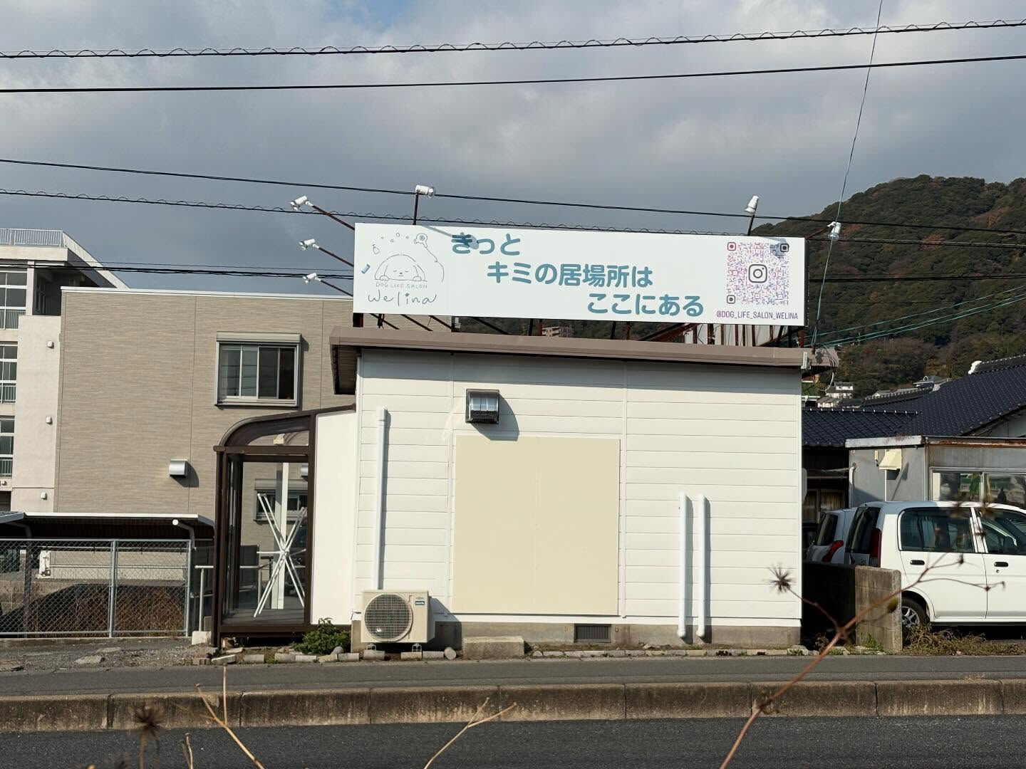 ※