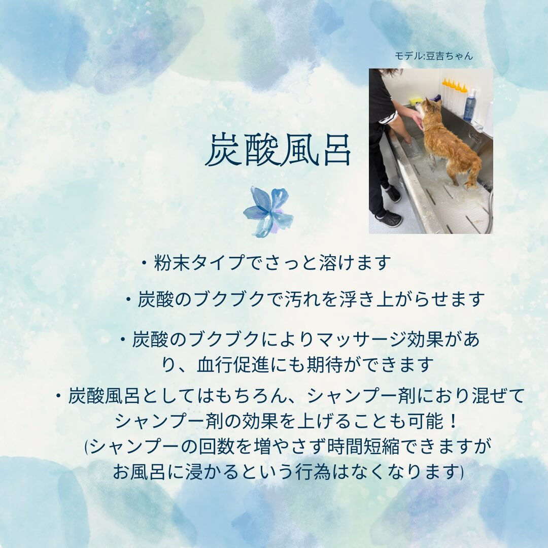 ※