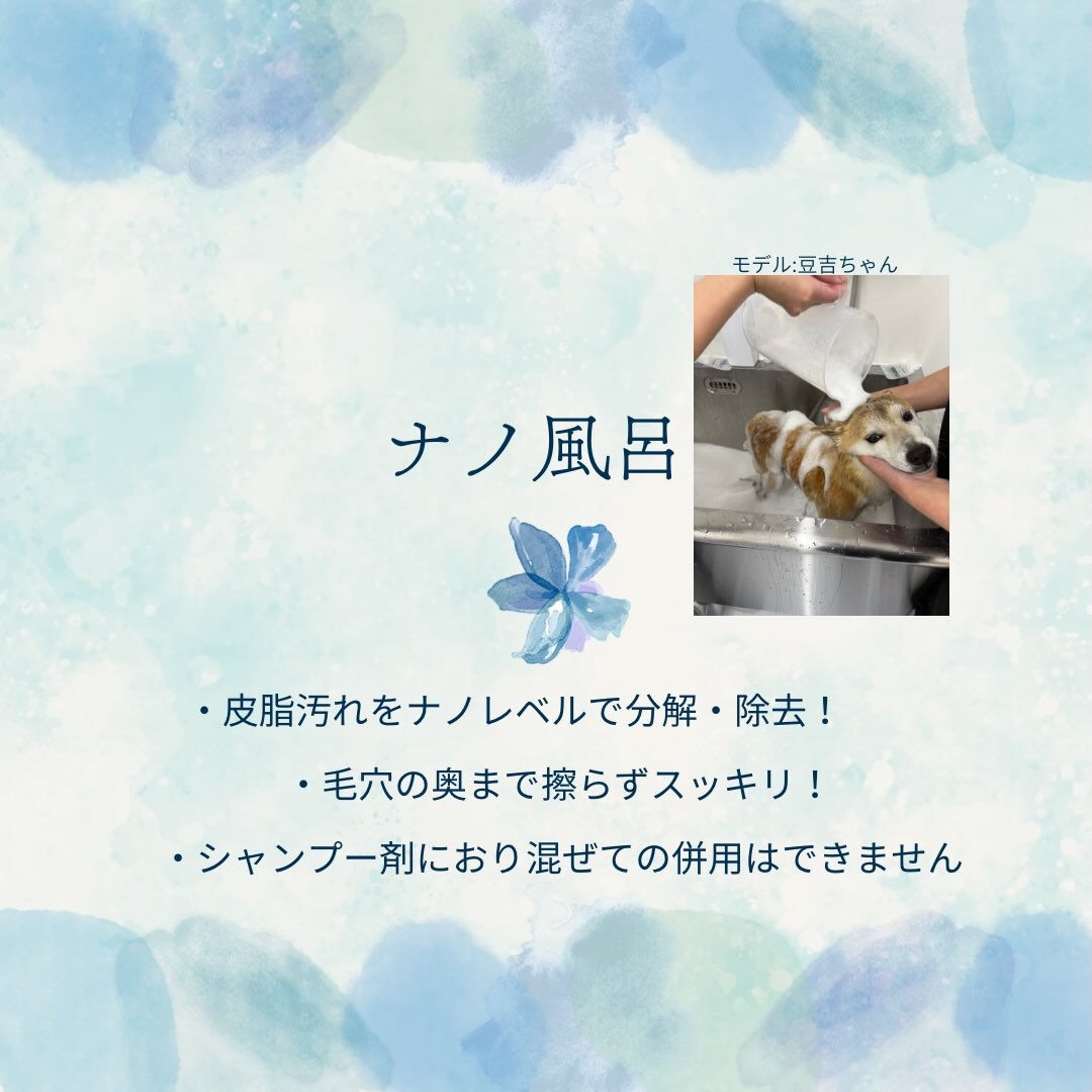 ※