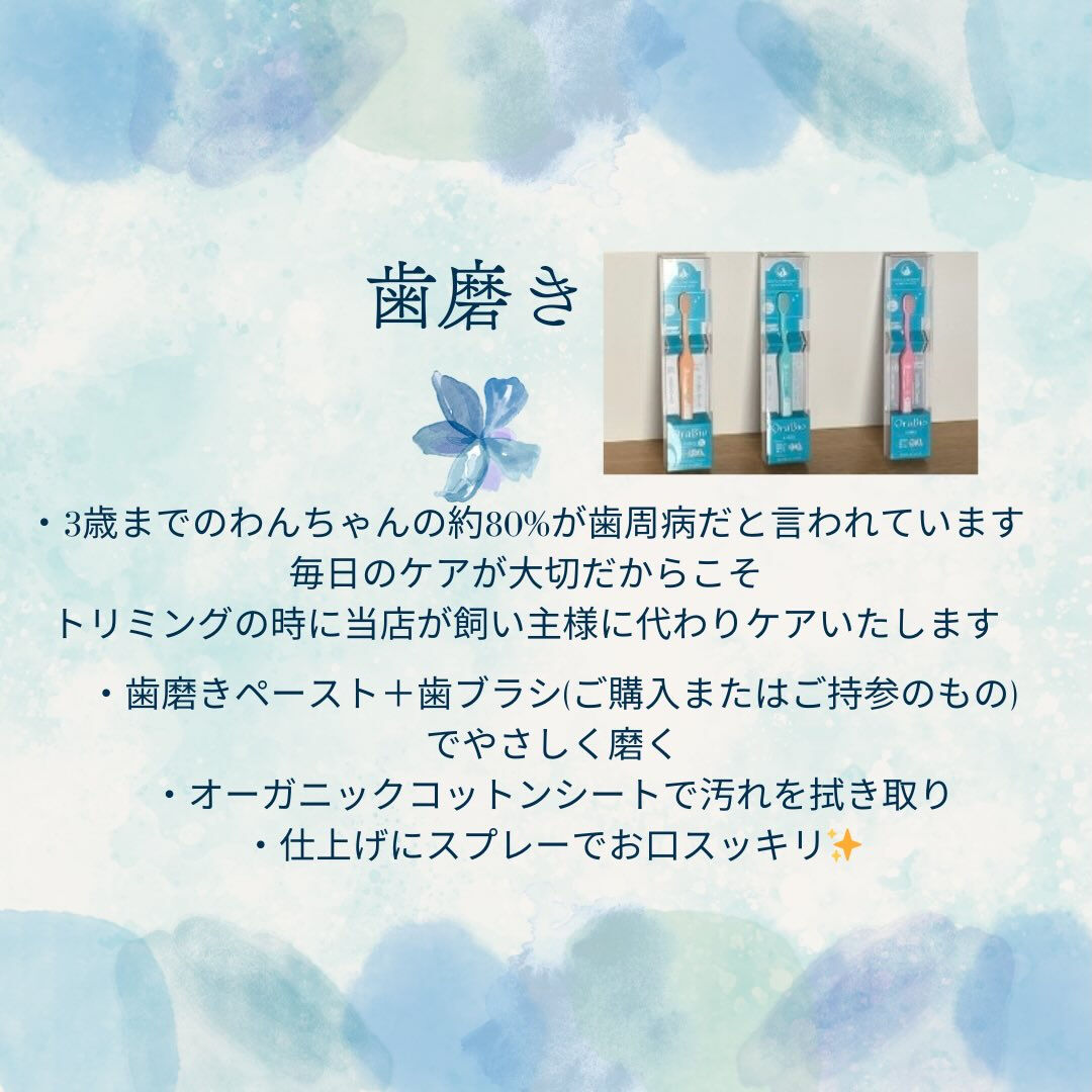 ※