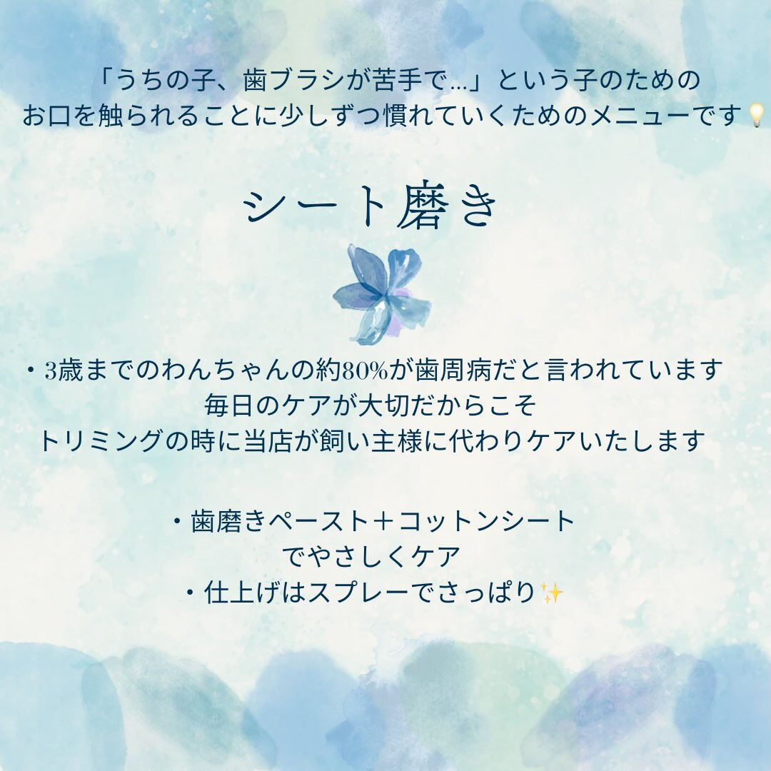 ※