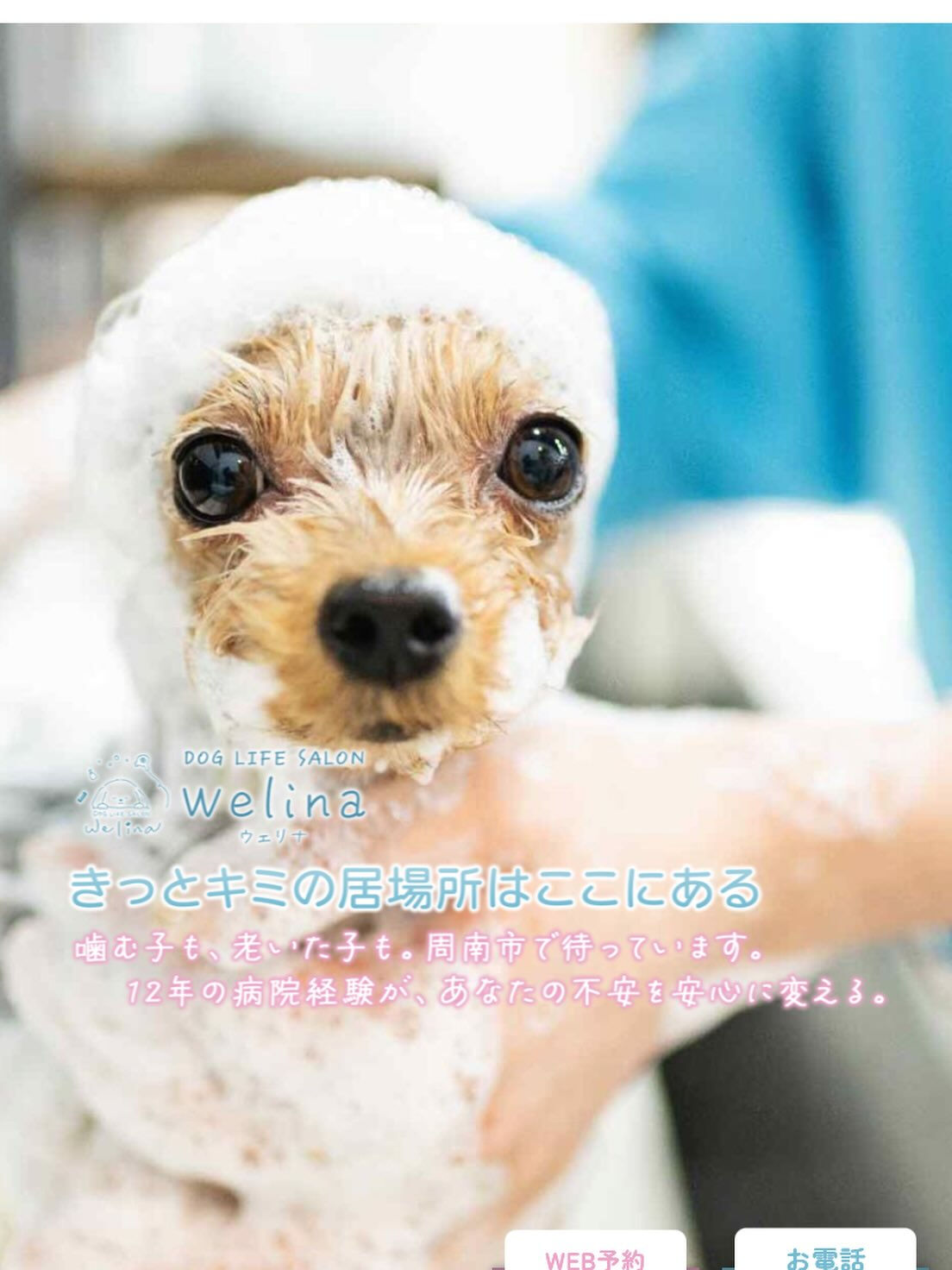 お店のホームページが出来ました👏👏