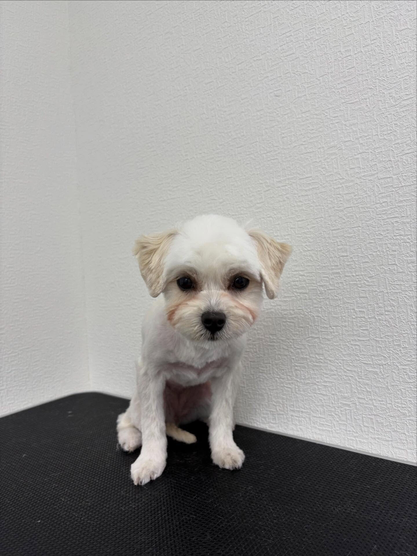 9ヶ月の子がご来店くださいました