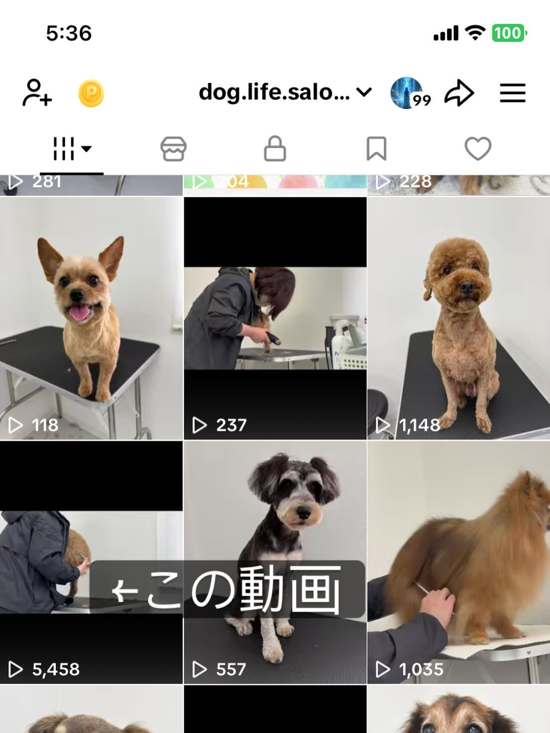 実はひっそりとTikTokもしてました