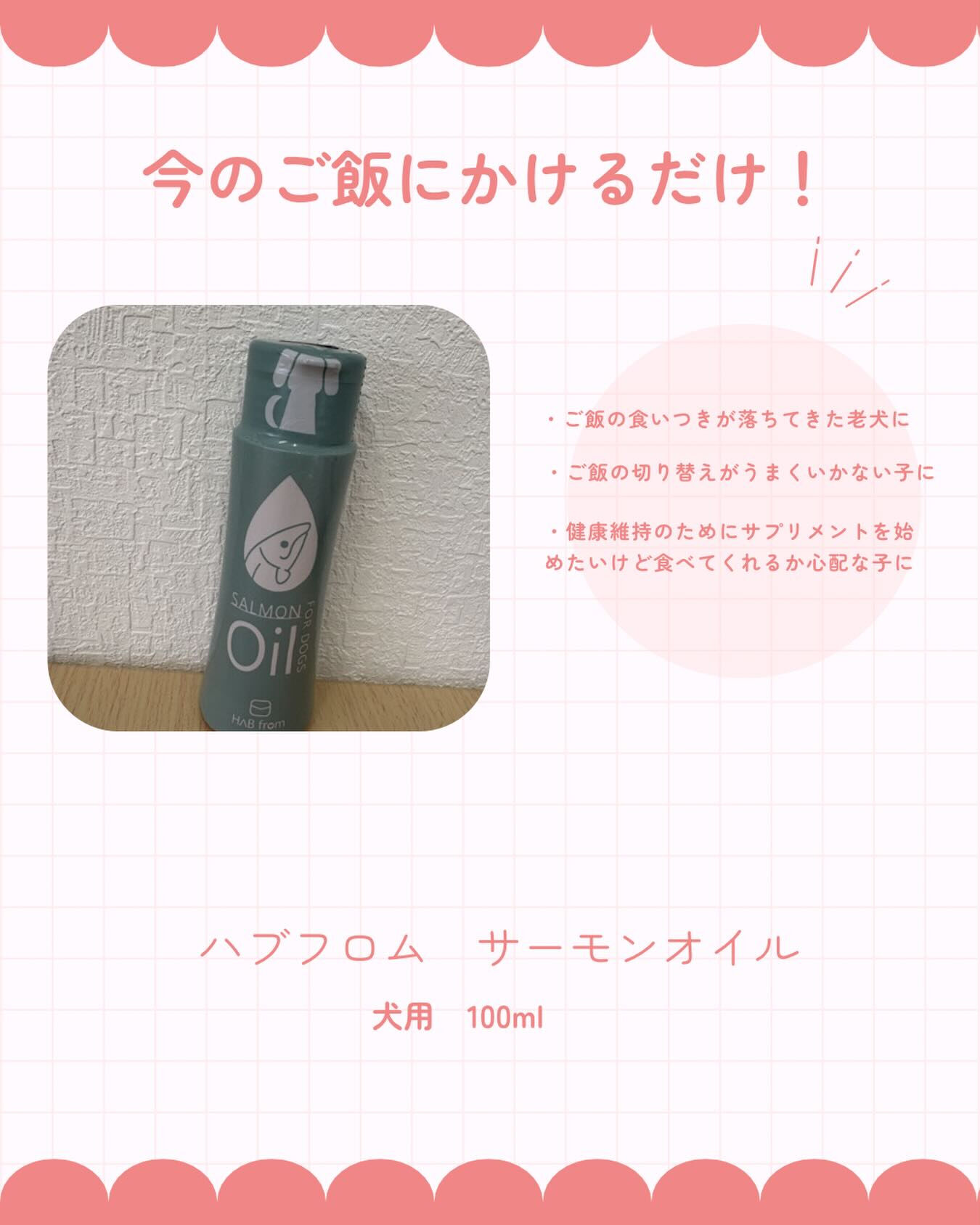 サーモンオイルが仲間入りしました💡