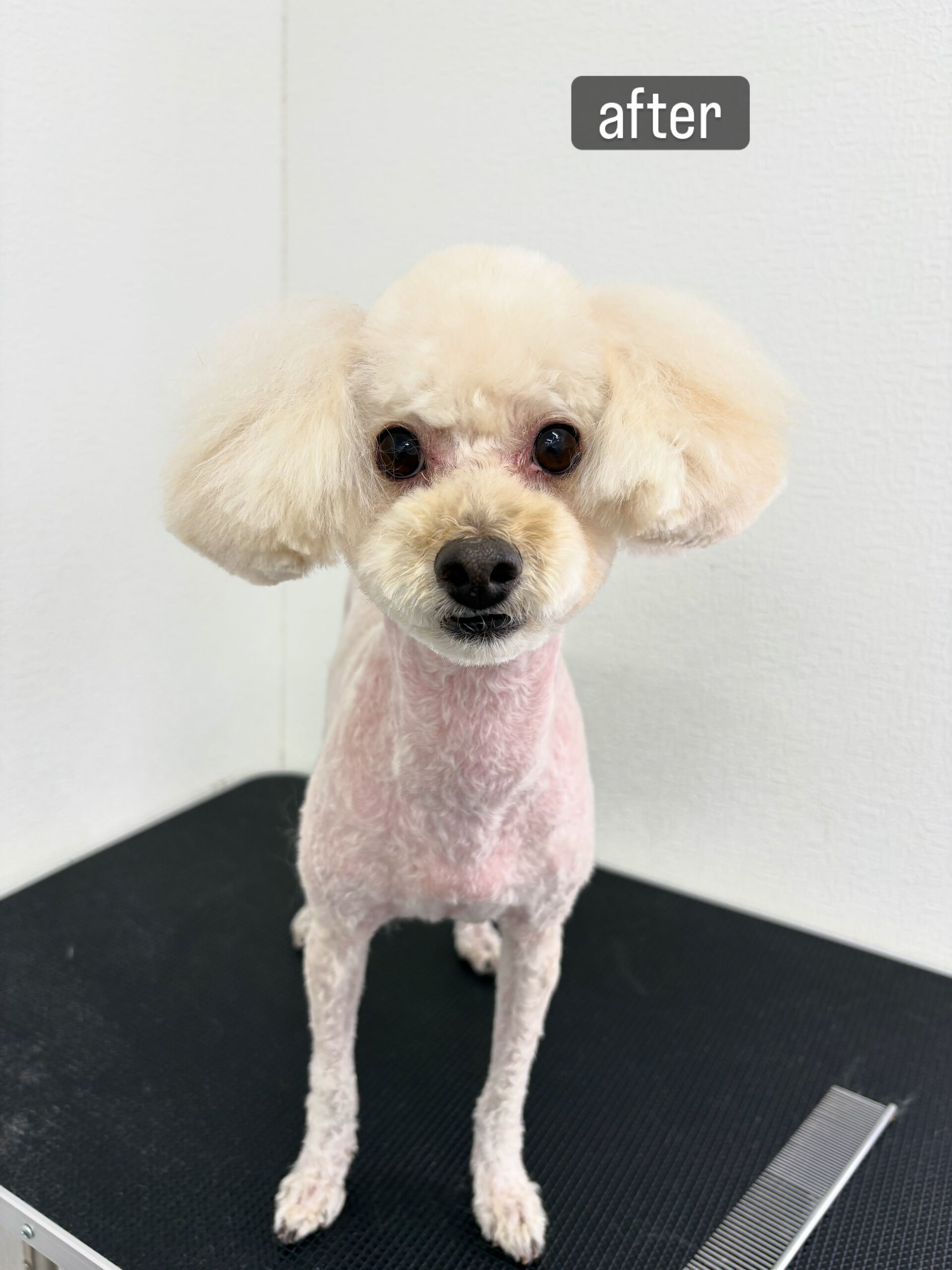 もつれができているとのことでお問い合わせくださいました😊