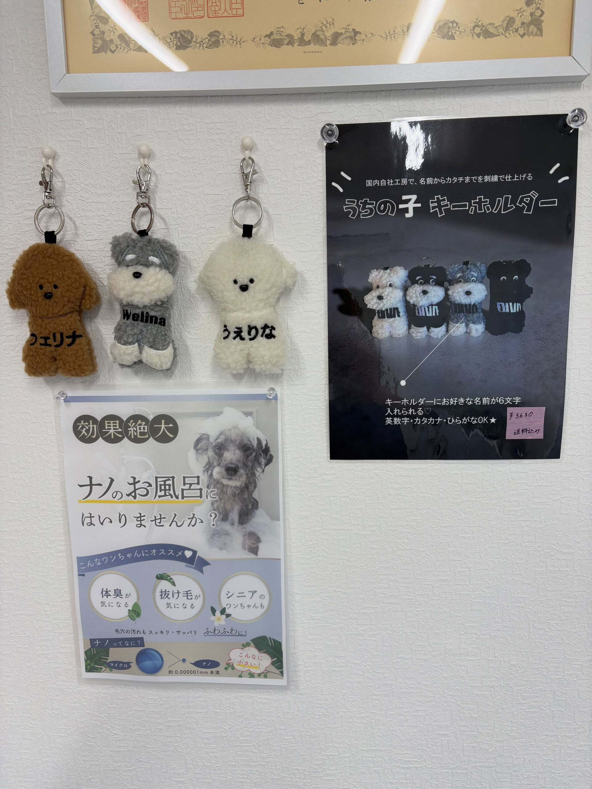 DIVA様の商品のお取り扱いを開始いたしました✨