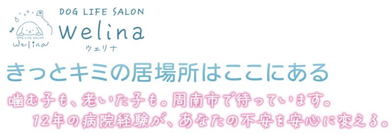 きっとキミの居場所はここにある