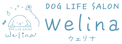 ロゴ